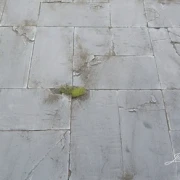 Courtyard Slabs